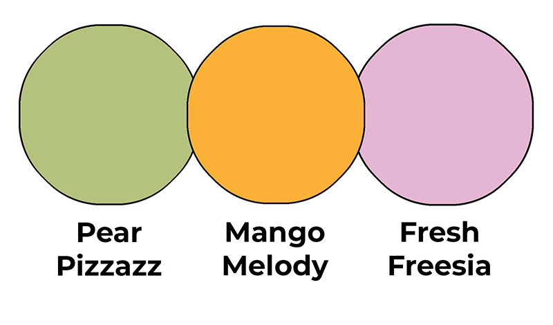 Colour combo mixing Pear Pizzazz, Mango Melody and Fresh Freesia.