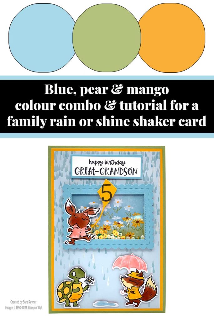 Family rain or shine shaker card tutorial