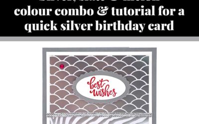 Tutorial for quick Silver birthday card