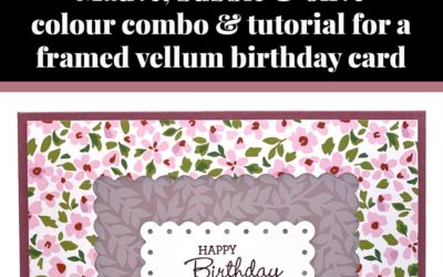 Tutorial for framed vellum birthday card