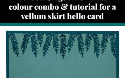 Tutorial for vellum skirt hello card
