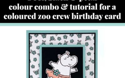 Tutorial for coloured zoo crew birthday card