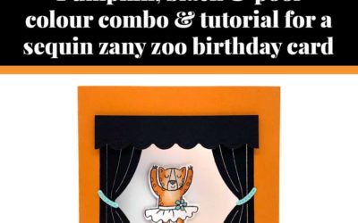 Tutorial for sequin zoo birthday card
