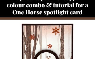 Tutorial for One Horse spotlight card