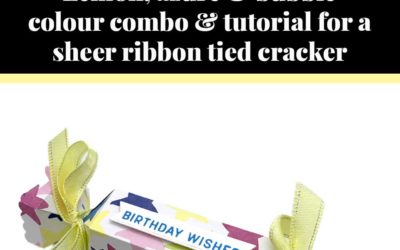 Tutorial for Sheer Ribbon tied cracker